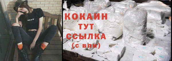 сатива Пестово