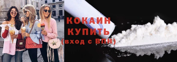 гидра Болохово
