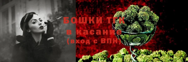 сатива Пестово