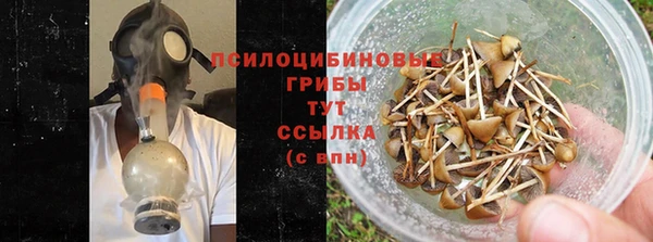MESCALINE Переславль-Залесский